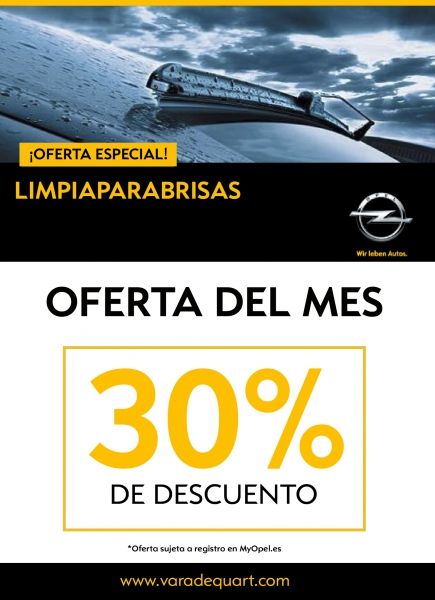 Escobillas de limpiaparabrisas Escobillas de limpiaparabrisas