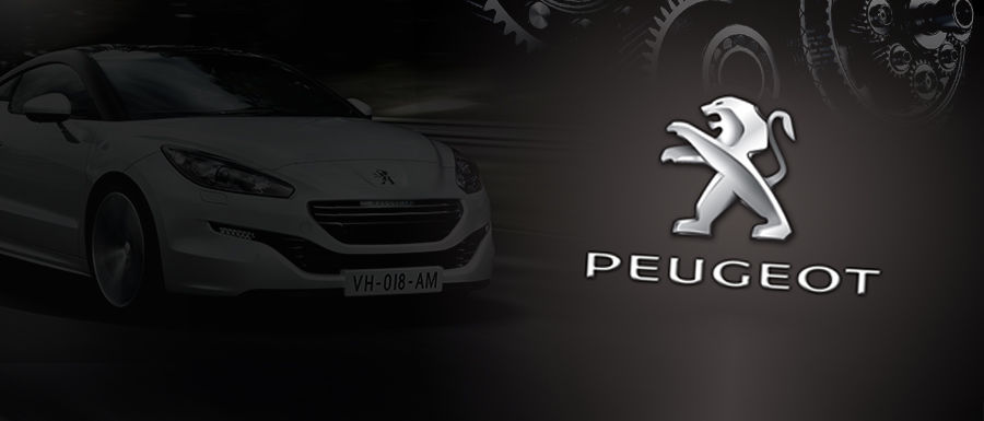 ESTRENAMOS NUEVA WEB ESTRENAMOS NUEVA WEB