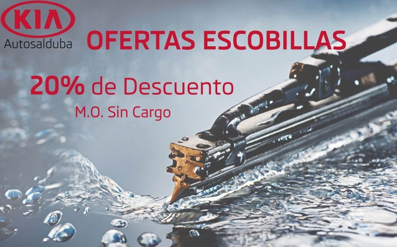Oferta escobillas Oferta escobillas