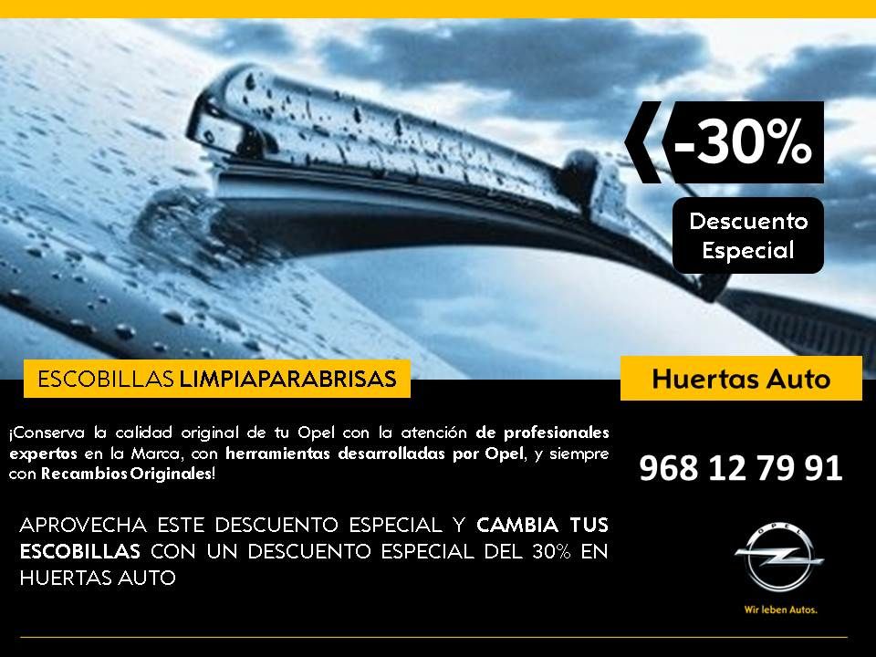 Escobillas LIMPIAPARABRISAS - 30% descuento Escobillas LIMPIAPARABRISAS - 30% descuento
