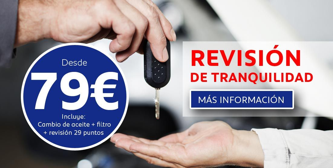 Revisión de tranquilidad desde 79€ Revisión de tranquilidad desde 79€