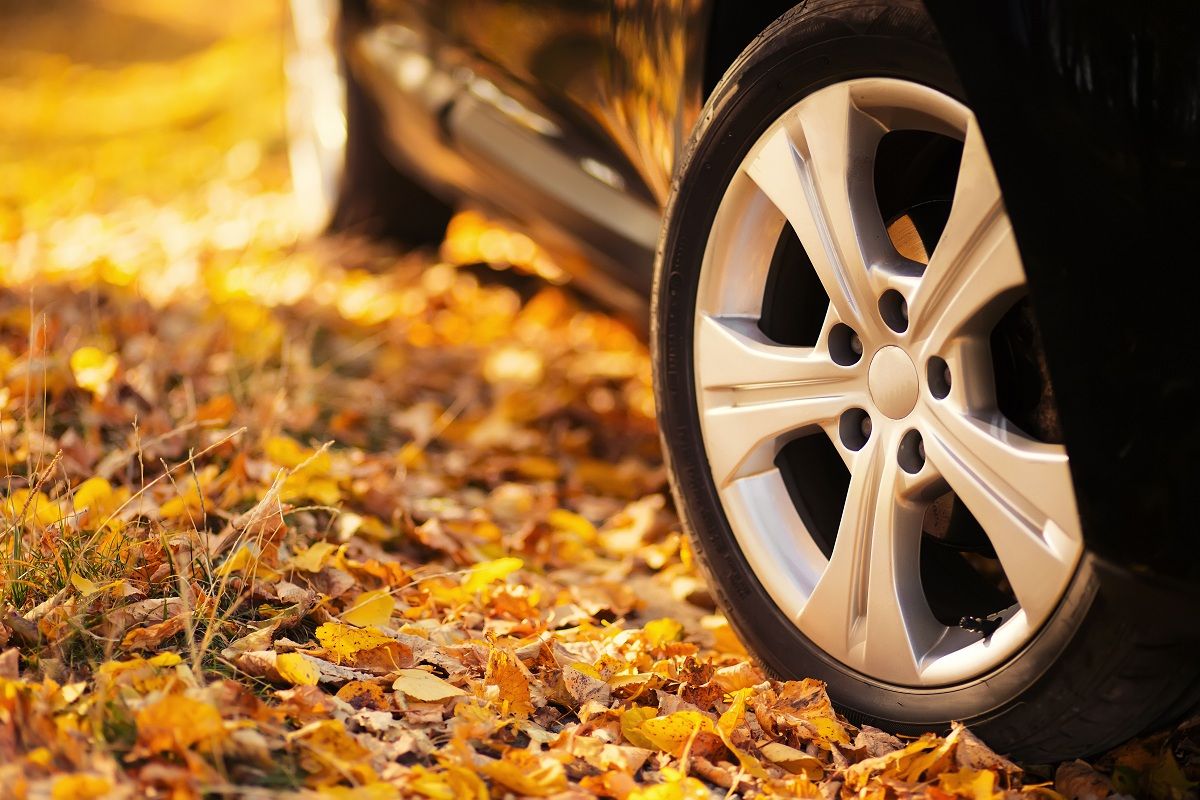 7 Consejos para poner a punto tu coche este otoño 7 Consejos para poner a punto tu coche este otoño